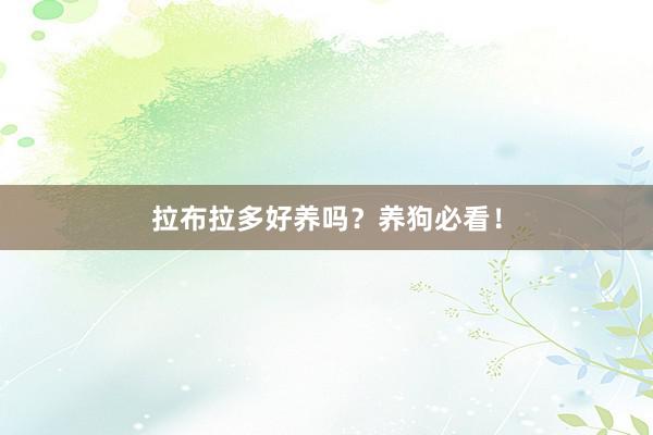 拉布拉多好养吗？养狗必看！