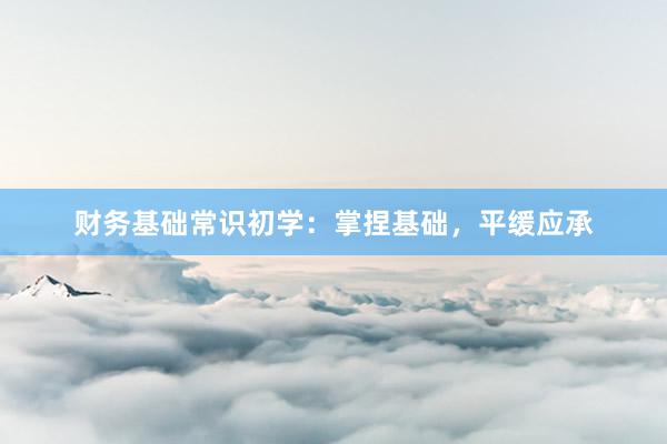 财务基础常识初学：掌捏基础，平缓应承