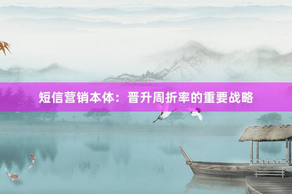 短信营销本体：晋升周折率的重要战略